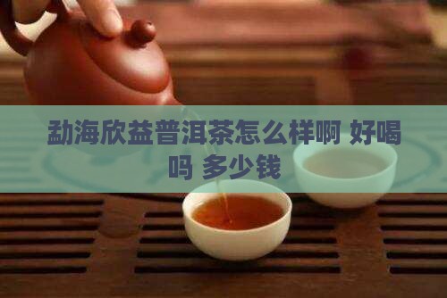 勐海欣益普洱茶怎么样啊