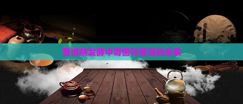 普洱茶发酵时黑菌多