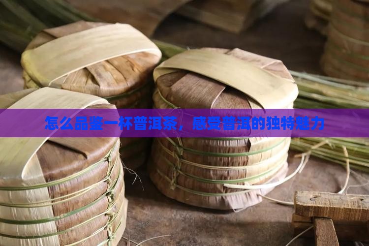 怎么品一杯普洱茶