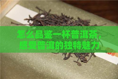 怎么品一杯普洱茶