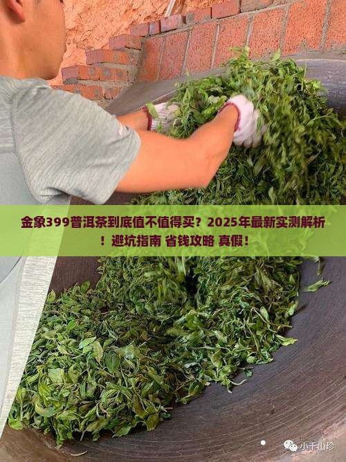金象399普洱茶