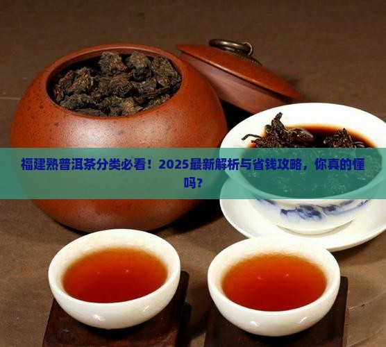 福建熟普洱茶分类 福建熟普洱茶分类