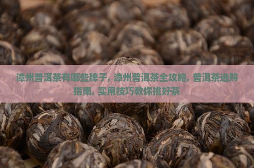 漳州品牌普洱茶有哪些牌子