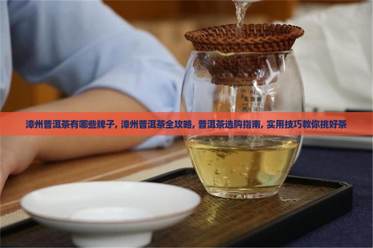 漳州品牌普洱茶有哪些牌子