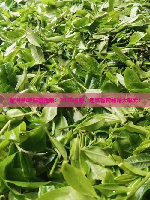普洱茶4p分析