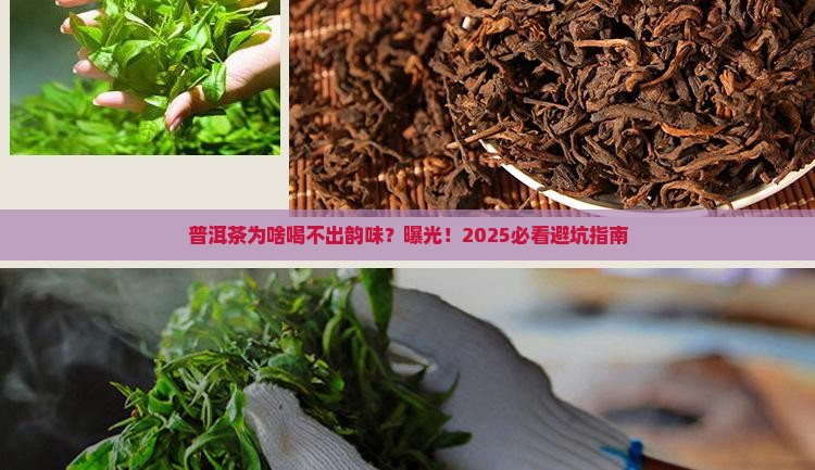 普洱茶为什么没有茶韵