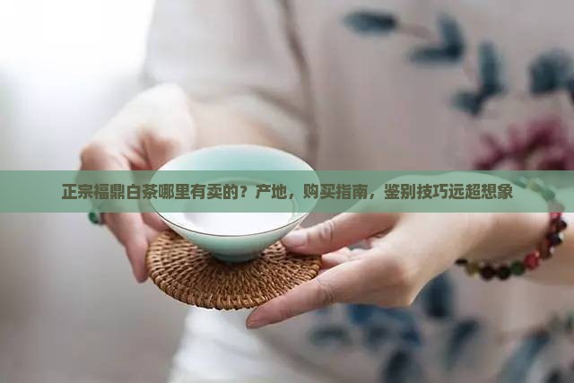 正宗福鼎白茶哪里有卖的