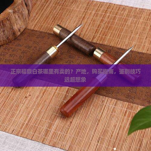 正宗福鼎白茶哪里有卖的