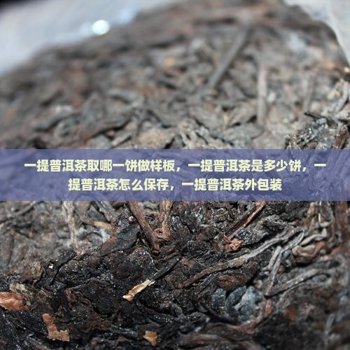 一提普洱茶取哪一饼做样板