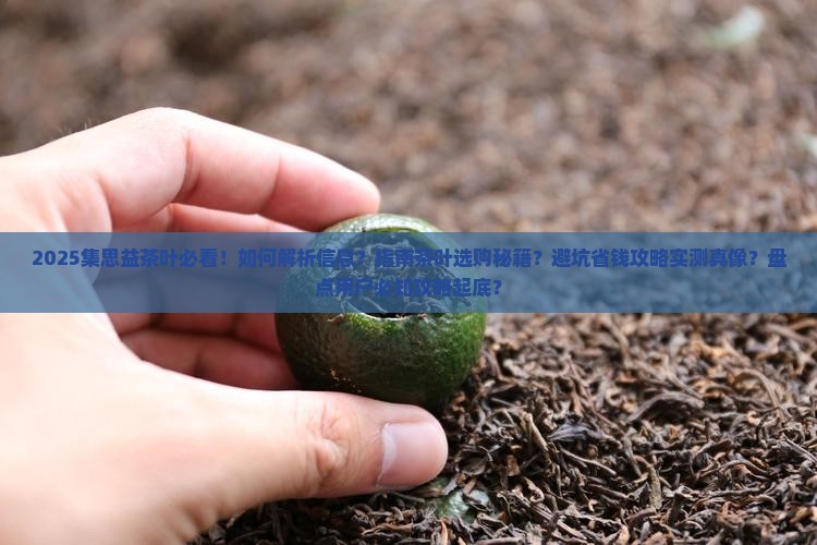 集思益茶叶官网竞芬芳