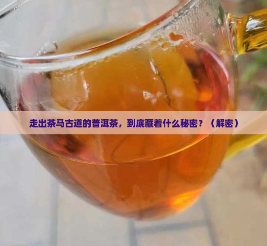 走出茶马古道的普洱茶品牌