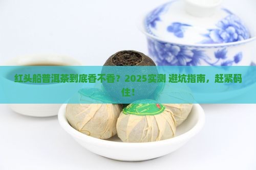 红头船普洱茶好不好