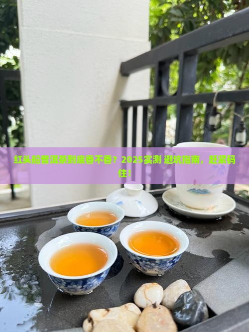 红头船普洱茶好不好