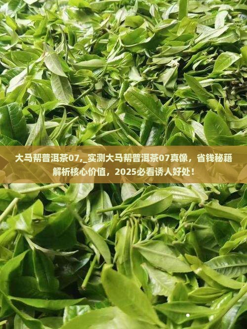 大马帮普洱茶07
