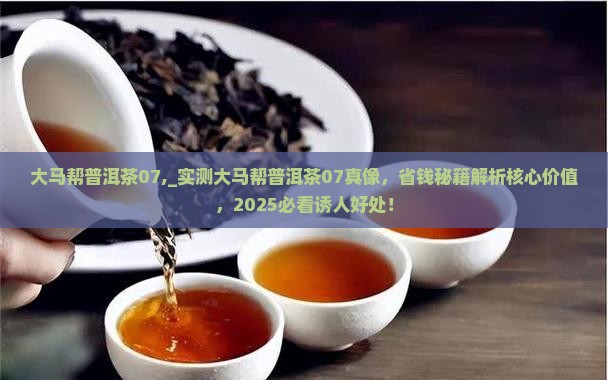大马帮普洱茶07