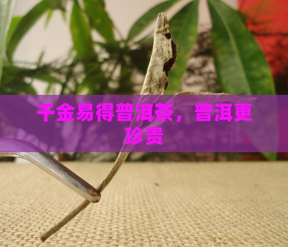 千金易得好普洱茶