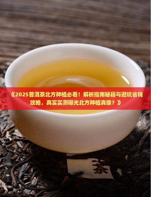 普洱茶在北方种植好吗