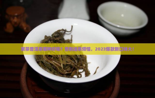 紫茶普洱茶哪种好喝