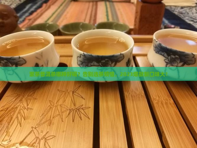 紫茶普洱茶哪种好喝