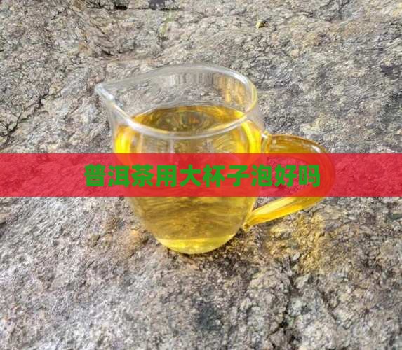 普洱茶用大杯子泡好吗