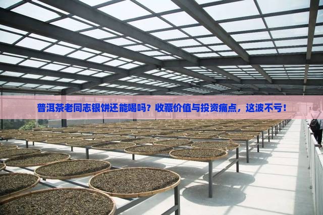 普洱茶老同志银饼