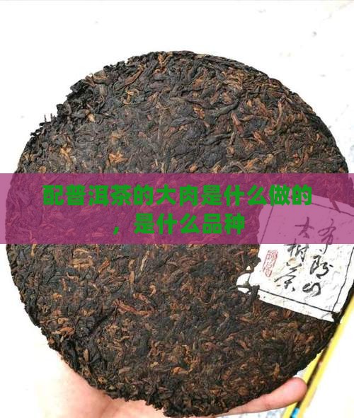 配普洱茶的大肉是什么
