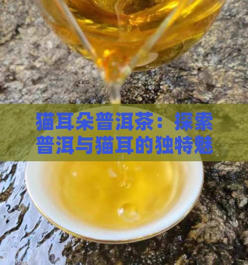 猫耳朵普洱茶介绍