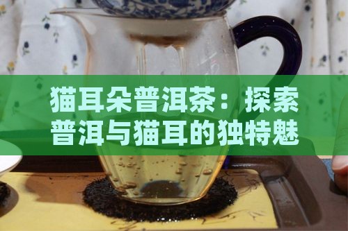 猫耳朵普洱茶介绍