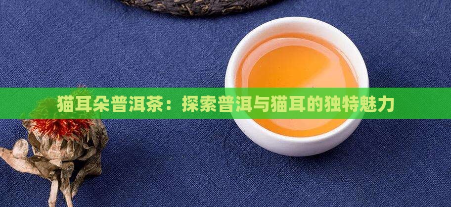猫耳朵普洱茶介绍