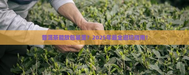 普洱茶可以放在包装上吗