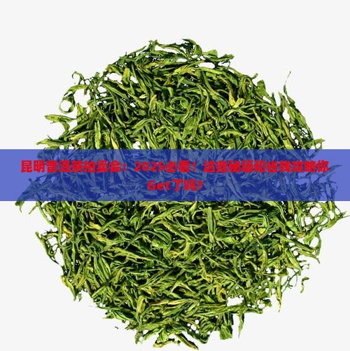 昆明普洱茶拍卖会