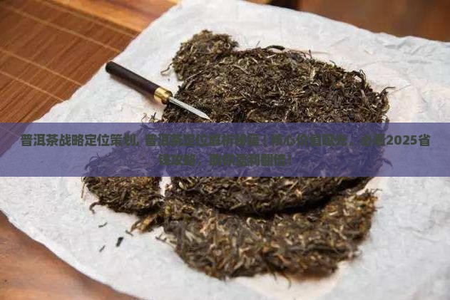 普洱茶品牌战略定位策划