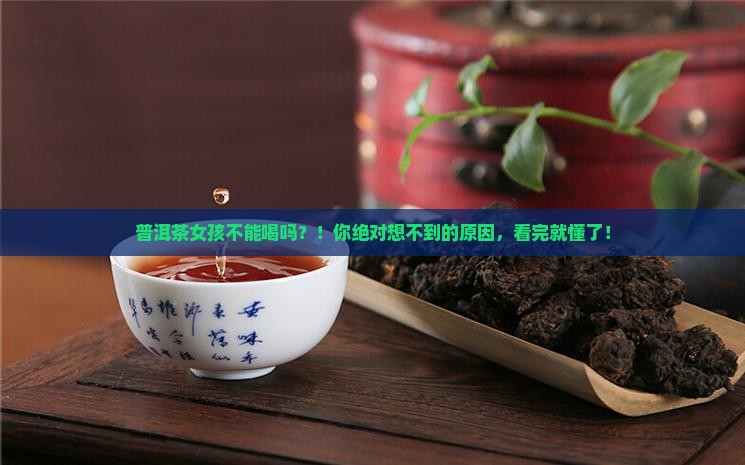普洱茶女孩不能喝吗