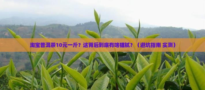 淘宝普洱茶10元一斤