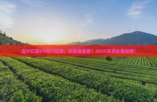宜兴红茶和祁门红茶的区别