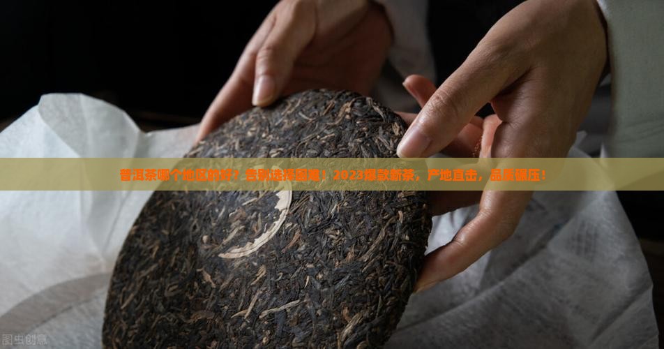 普洱茶哪个地区的好