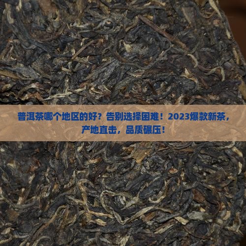 普洱茶哪个地区的好