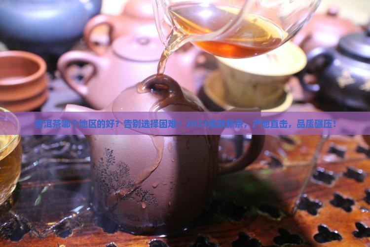 普洱茶哪个地区的好