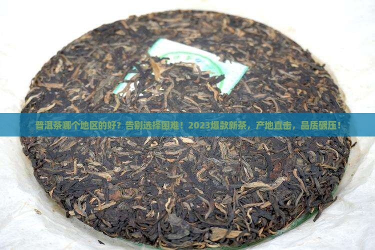 普洱茶哪个地区的好