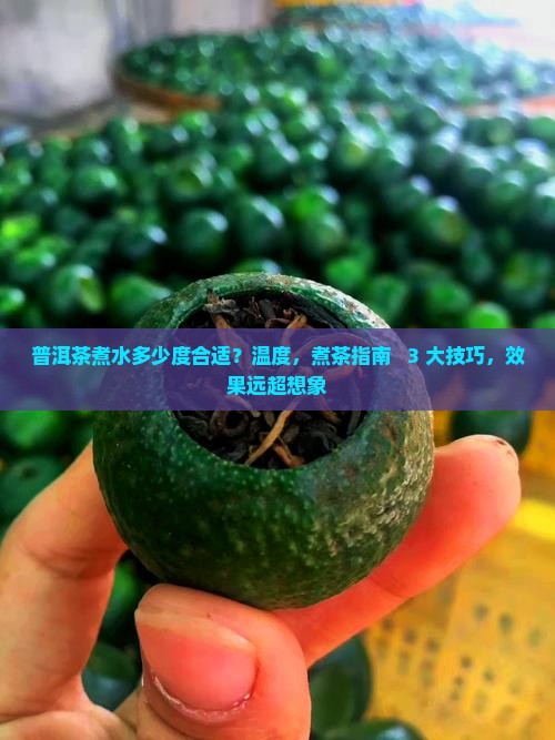 普洱茶煮水多少度合适