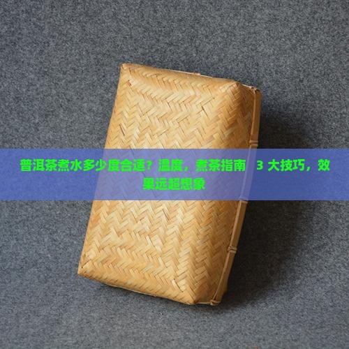 普洱茶煮水多少度合适