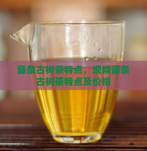 藤条古树茶特点