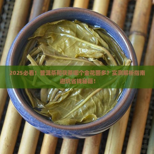 普洱茶和茯茶哪个金花菌多