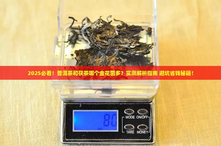 普洱茶和茯茶哪个金花菌多