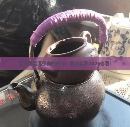 普洱茶夏天喝好吗吗