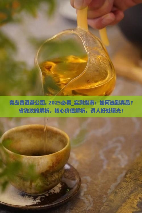 青岛普洱茶公司