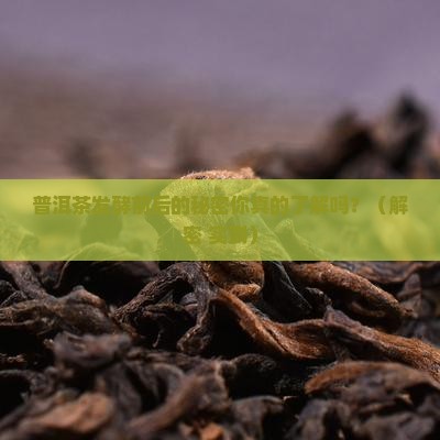普洱茶发酵前后有什么区别