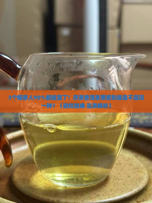 黑茶茯茶普洱茶是一回事