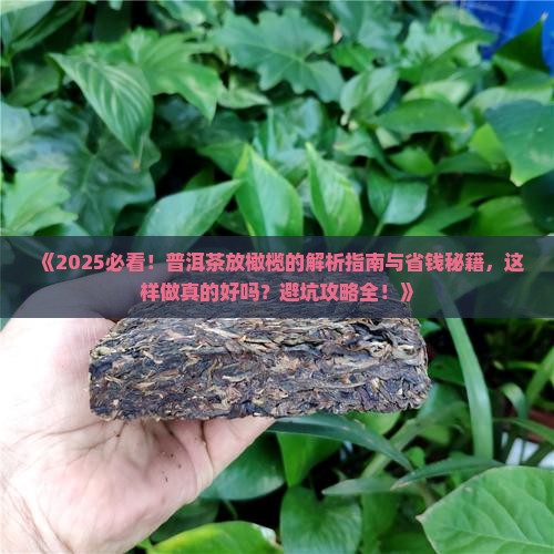 普洱茶可以放橄榄吗