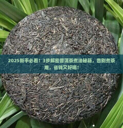 普洱茶的煮法步骤
